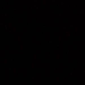 Meet your Posher, Alannah